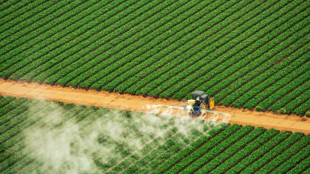 Best Insect Control  in Rainbow Springs, FL