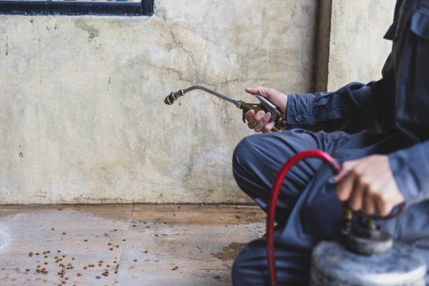 Best Pest Removal Services  in Rainbow Springs, FL